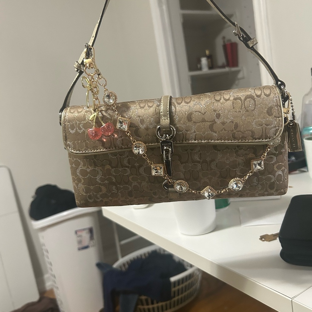 Rare coach 2006 shimmer optic hamptons bag